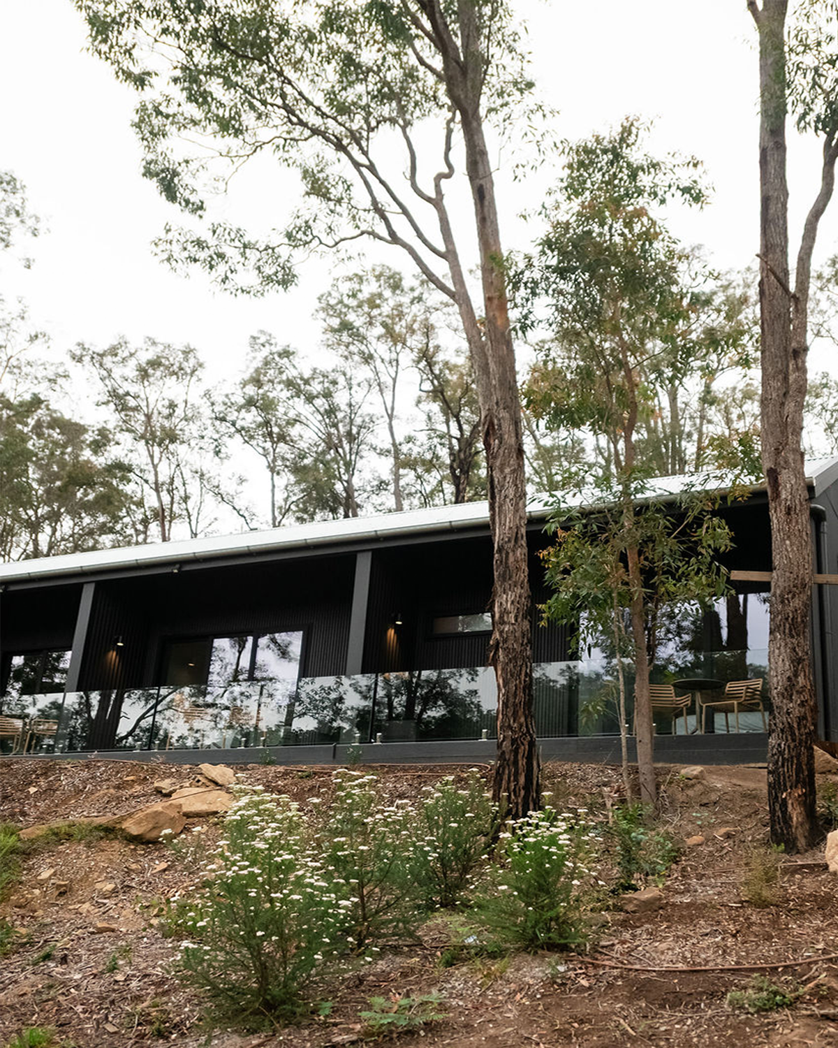 Untitled-1 - 10-10-2025 19-01-22.png18